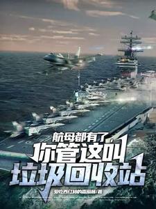 航母都有了,你管这叫垃圾回收站 航母都有了,你管这叫垃圾回收站