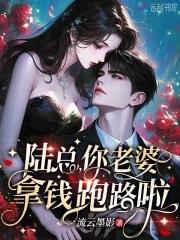 陆总,你老婆拿钱跑路啦 陆总,你老婆拿钱跑路啦