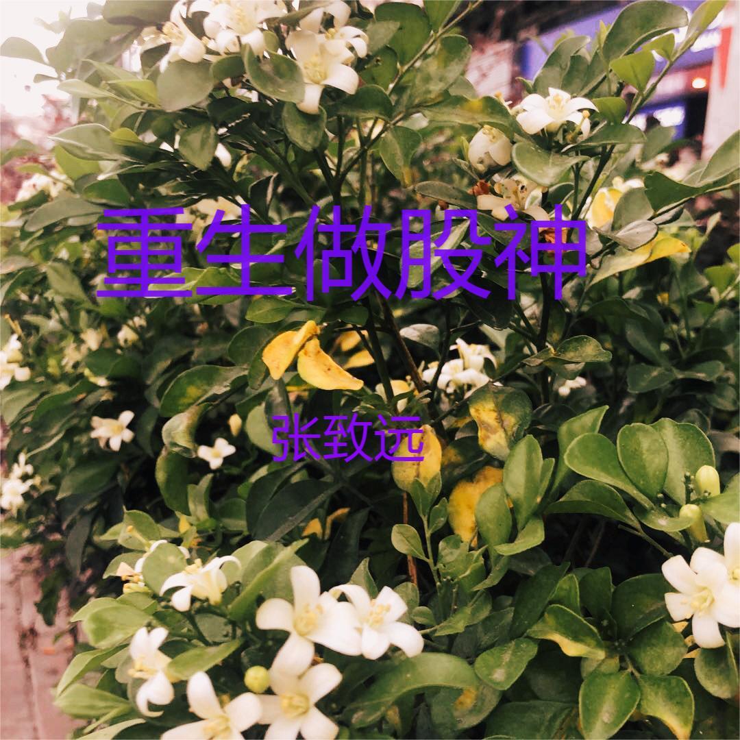 重生做股神 重生做股神